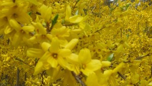 880_ostern
