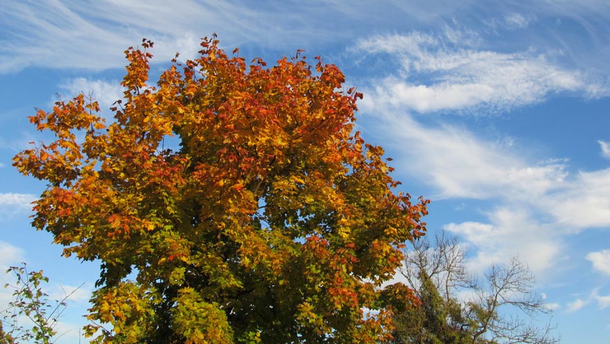 auftanken herbst