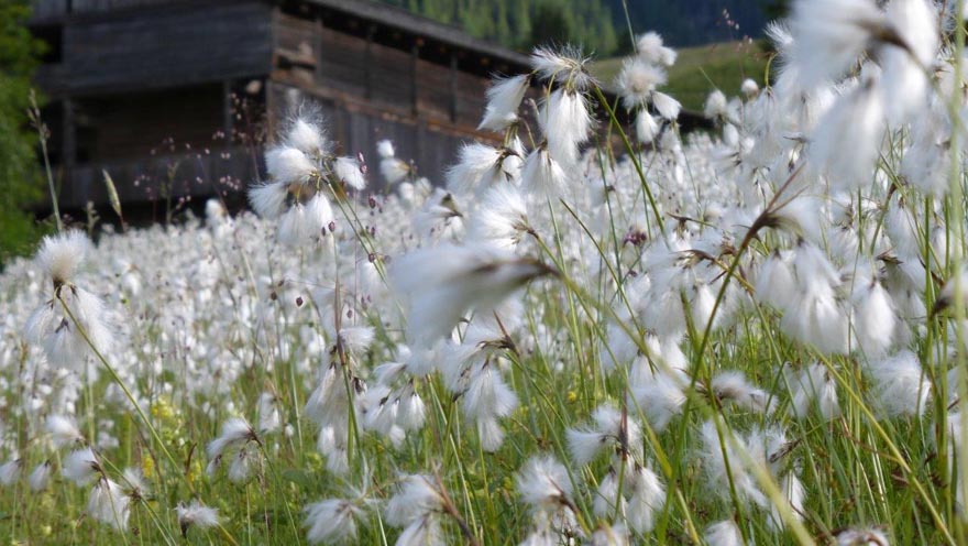 auftanken - sommer in hollbruck