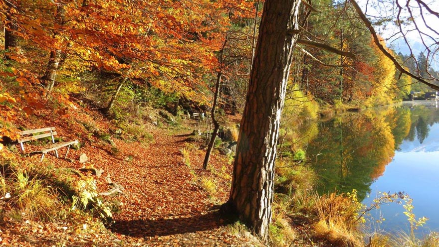 auftanken - herbstlicher triestacher see