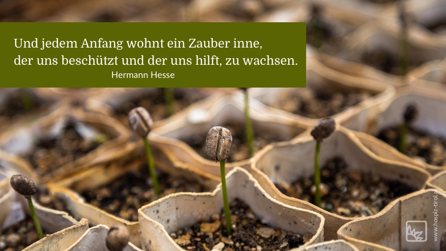 anfang-hesse