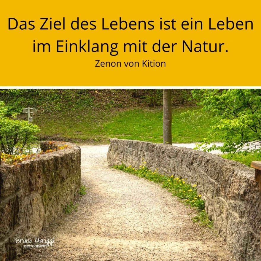 Einklang mit der Natur Archives Tiroler HospizGemeinschaft