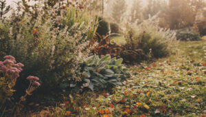 Garten im Herbst