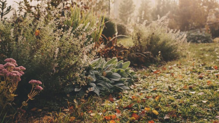 Garten im Herbst