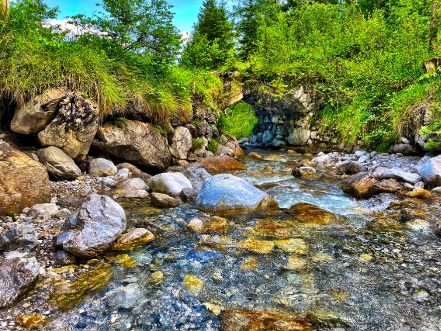 Fluss mit Steinen und Gras
