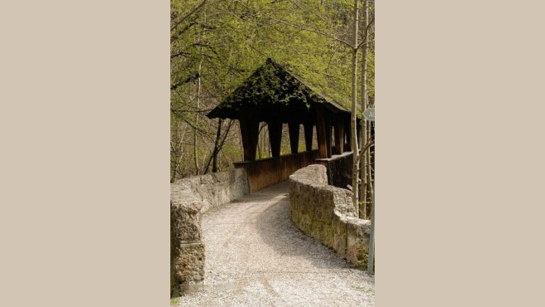 Holzbrücke im Wald über Bach