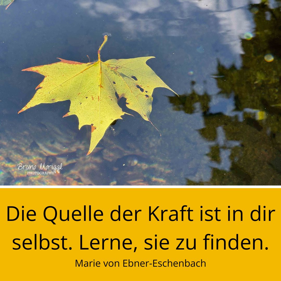 Blatt im Wasser mit Spruch: Die Quelle der Kraft ist in dir selbst. Lerne, sie zu finden. Marie von Ebner-Eschenbach