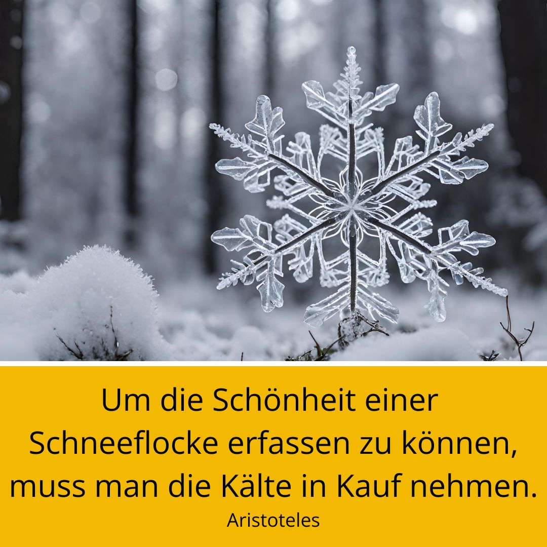 Schneeflocke mit Spruch