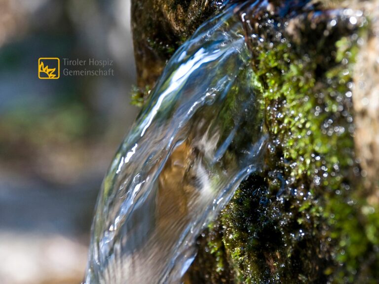 Wasser fließt aus einer Quelle