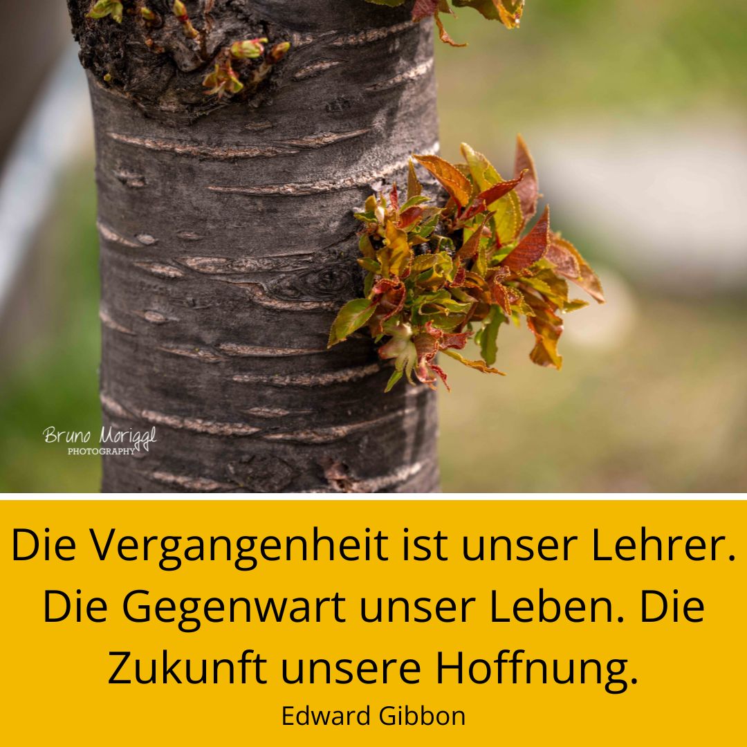 Baum mit Blättern und Spruch
