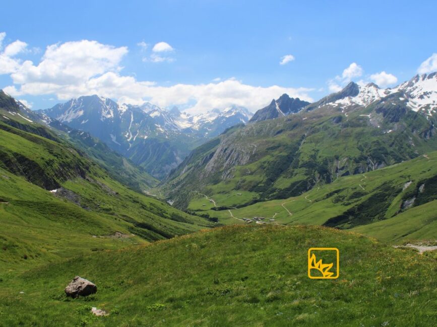 Symbolbild - Bergwiese mit Blick in die Ferne