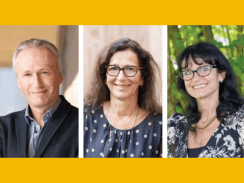 Kollegiale Führung: Werner Mühlböck, Christine Haas-Schranzhofer und Andrea Knoflach-Gabis