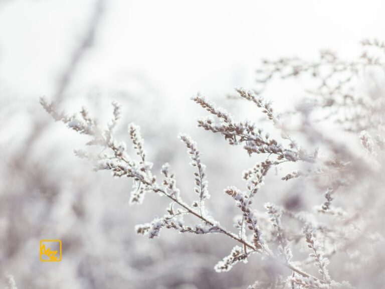 Winterbild