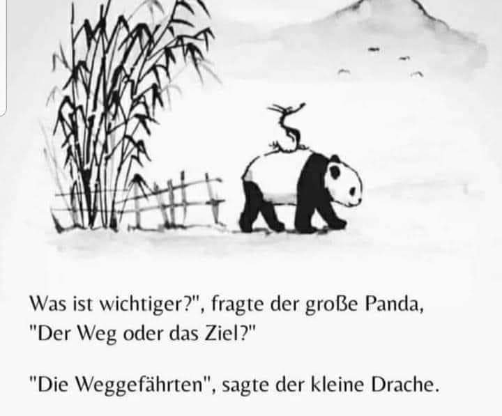 Zeichnung mit Panda und Spruch Weggefährten