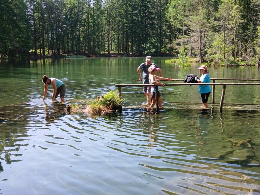 Brücke in den See