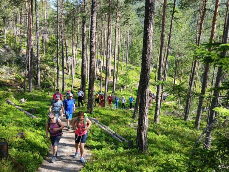 Wanderweg mit Teilnehmer*innen