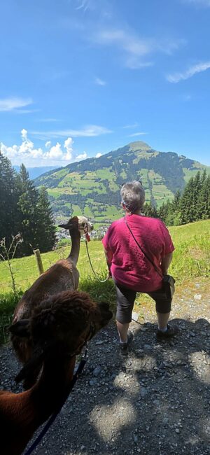 Spaziergang mit Alpaka