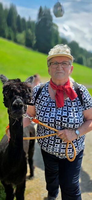 Spaziergang mit Alpaka