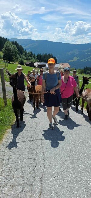 Spaziergang mit Alpaka