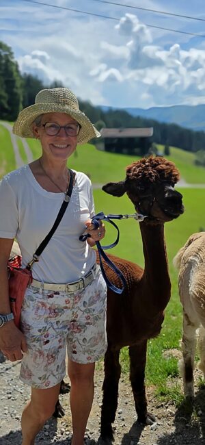 Spaziergang mit Alpaka