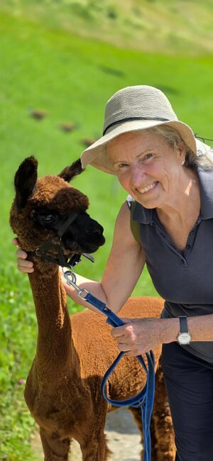 Spaziergang mit Alpaka