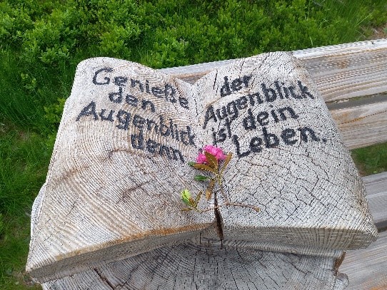 Stein mit Spruch zum Thema Augenblick