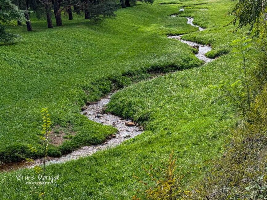 Ein Bach der durch die grüne Wiese fließt
