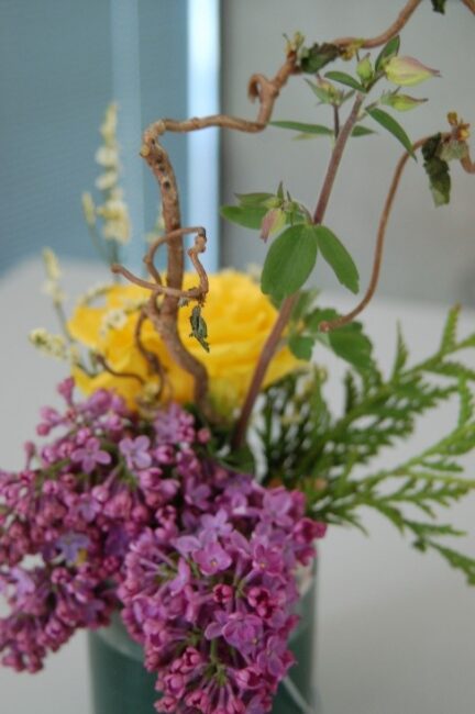 Blühender Flieder und gelbe Blume in Vase