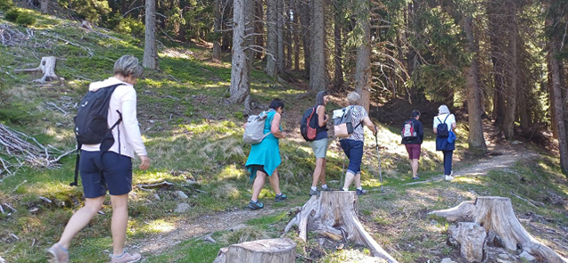 Das Hospizteam beim Wandern auf einem schönen Wanderweg