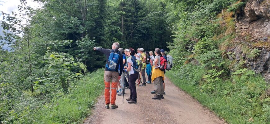 Die Pilger beim Wandern