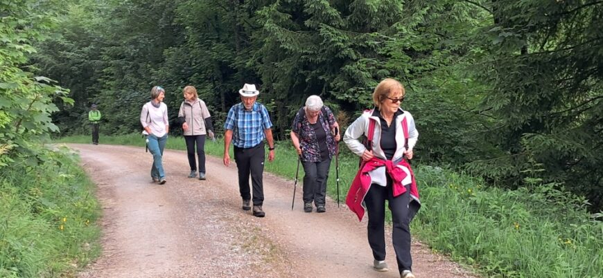 Die Pilger beim Wandern