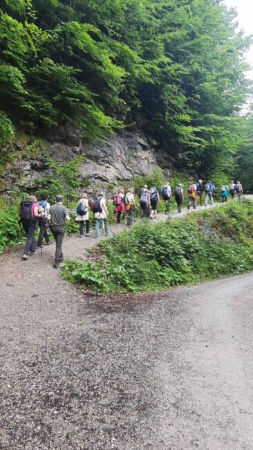 die Pilger in einer langen Reihe auf dem Pilgerweg