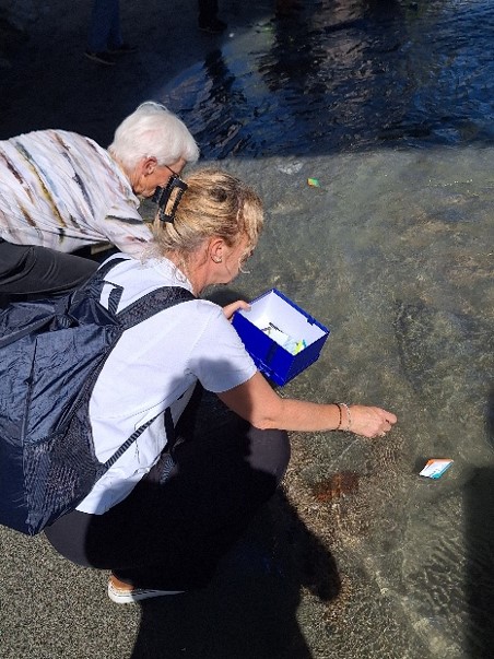 Erinnerungsschiffe werden dem Wasser übergeben