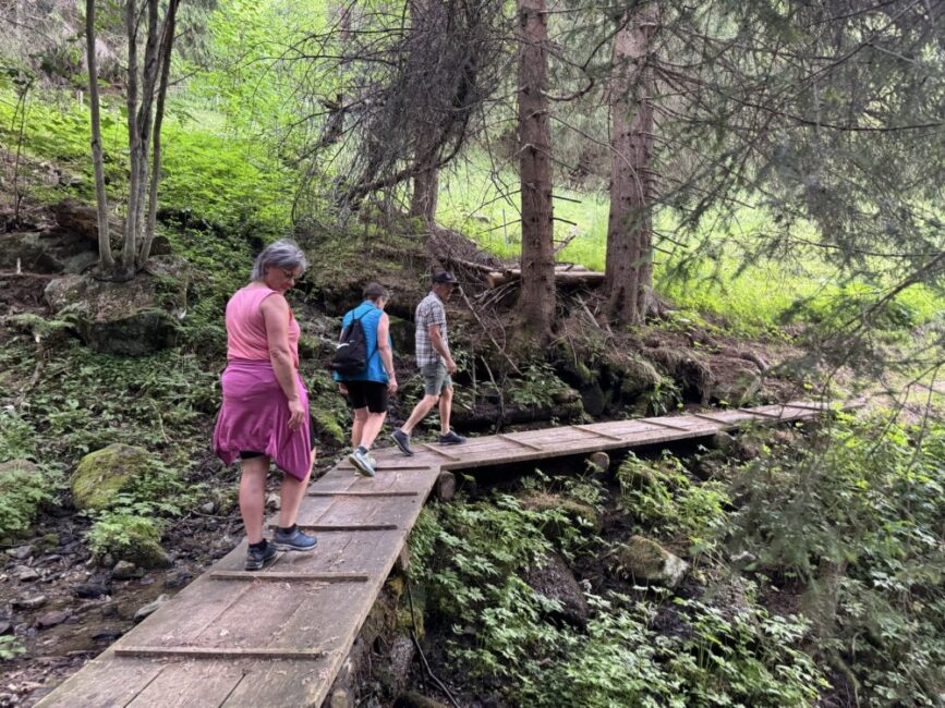 3 Wanderer auf einer Holzbrücke