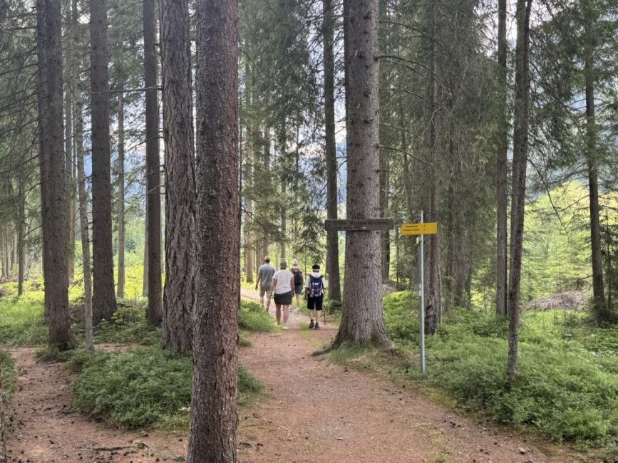 Mitten im Wald an einer Wegkreuzung