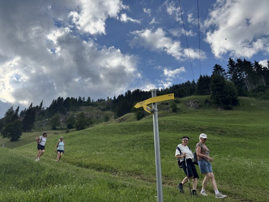Wanderer auf Weg durch Bergwiese mit Wegweise