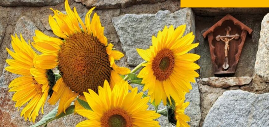Blühende Sonnenblumen und ein Kreuz