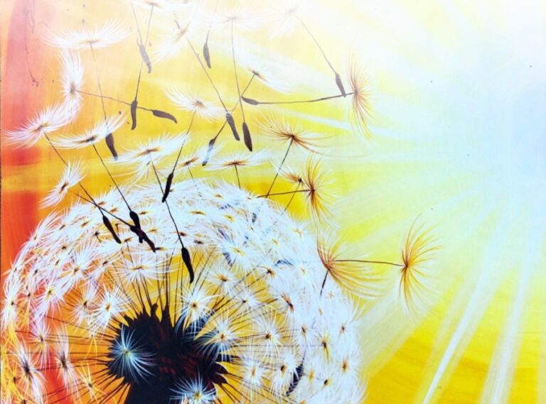 Eine verblühende Sonnenblume als Zeichnung mit einer Sonne im Hintergrund